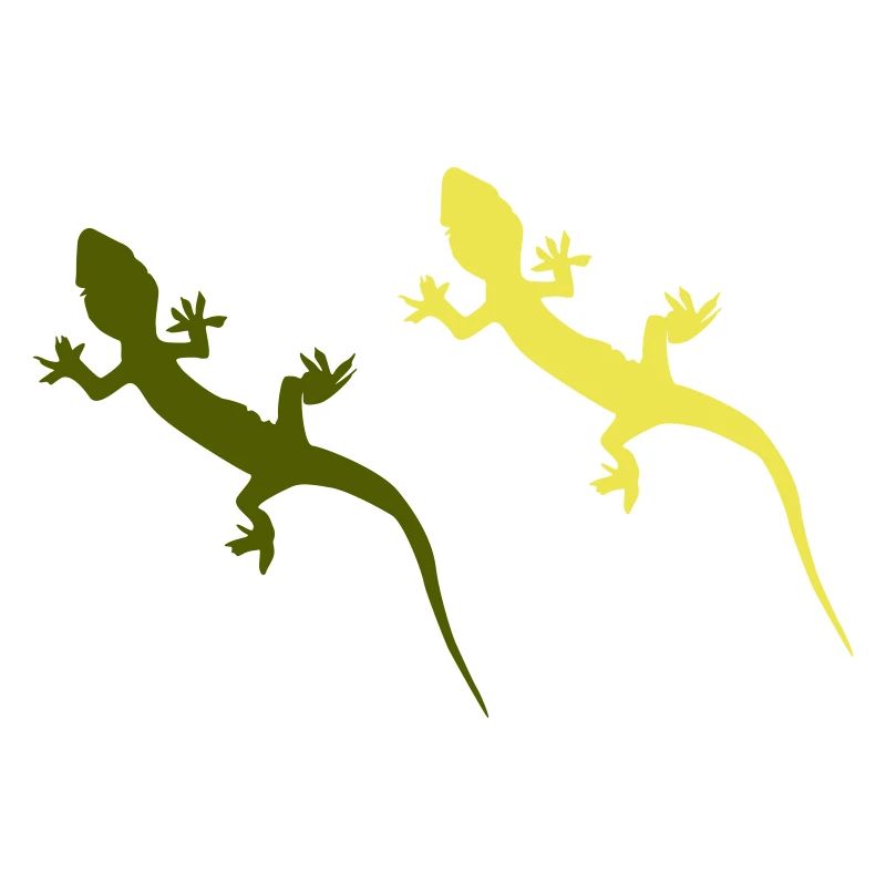gecko 2