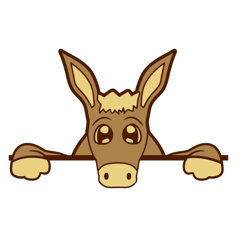 wall wall half text field area write small