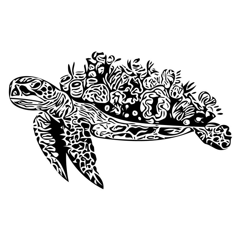 Turtle - Vector Style