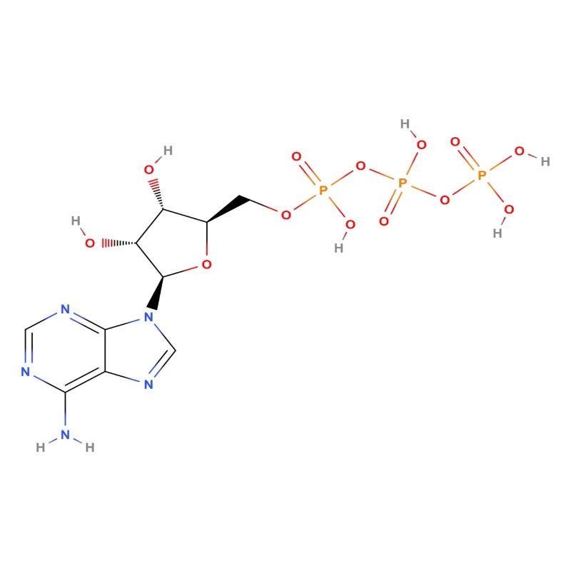 Molécule de triphosphate d’adénosine - Structur coloré