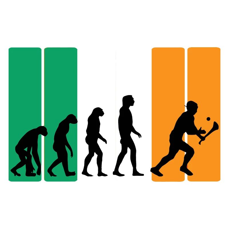 Die Evolution von Hurling