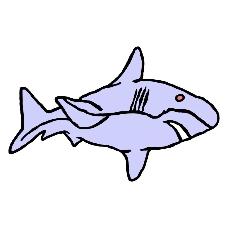 Poisson Requin Prédateur Eau Graffiti Océan