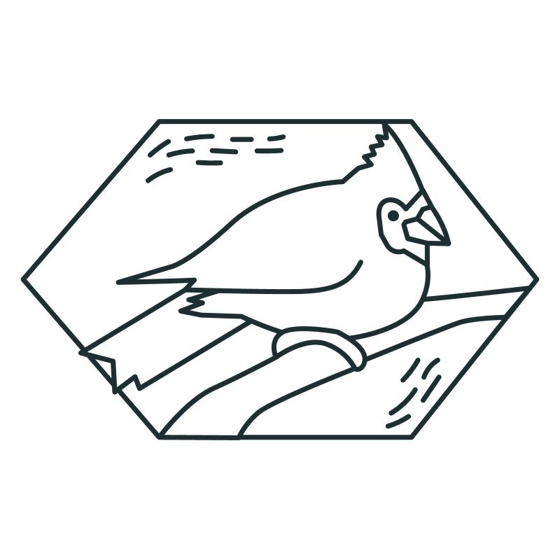 Diamant Kardinalvogel