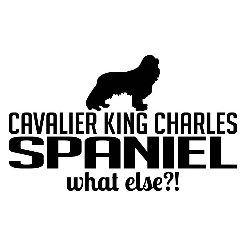 CAVALIER KING CHARLES SPANIEL what else