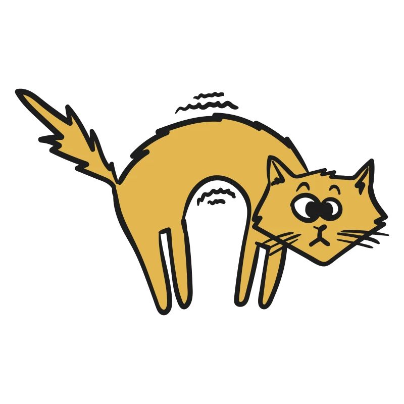 Coole Katze