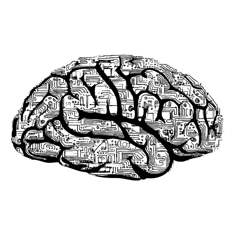Black Brain NEUROSCIENCE