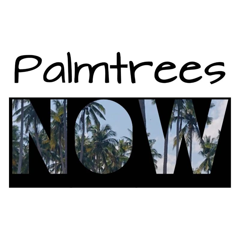Palmtrees now