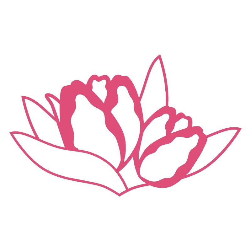 Tulpe