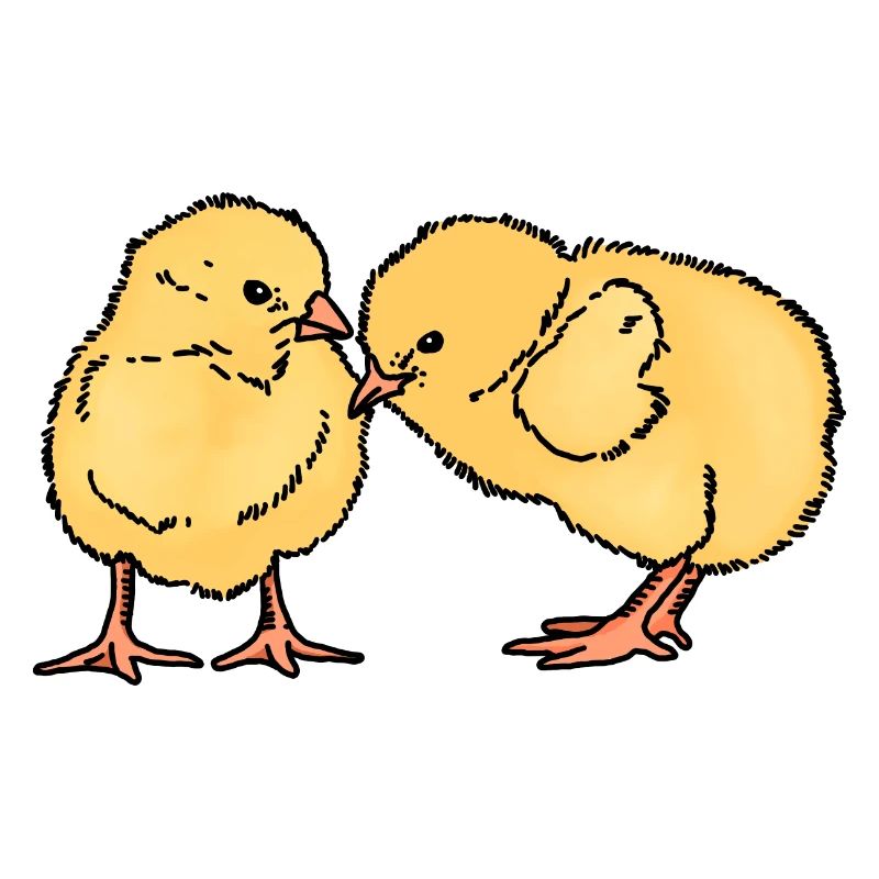 Deux poussins mignons