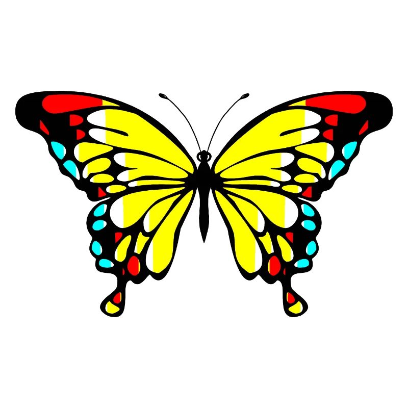 Papillon