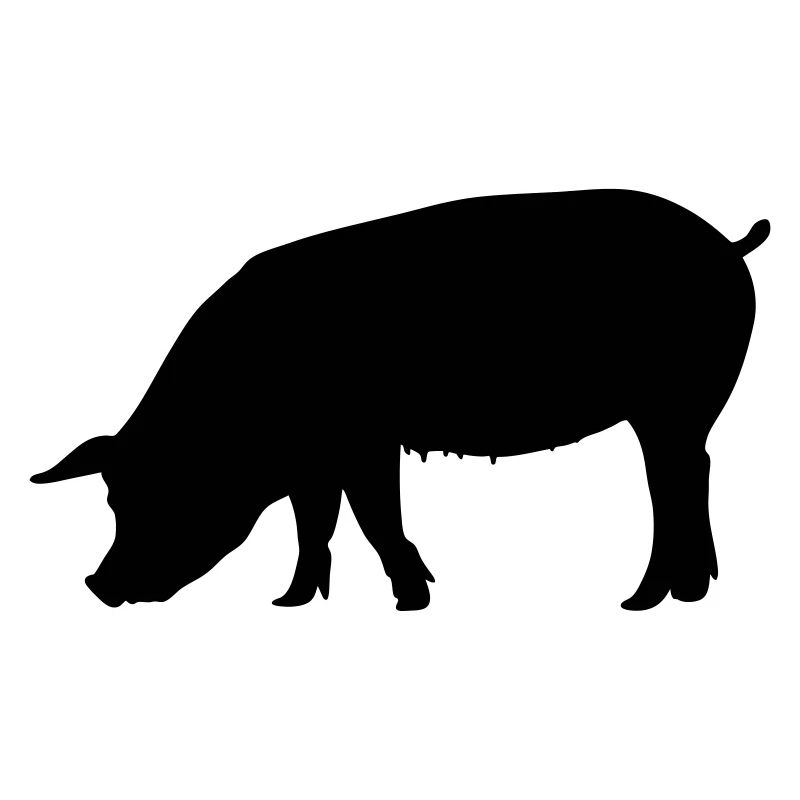 Schwein