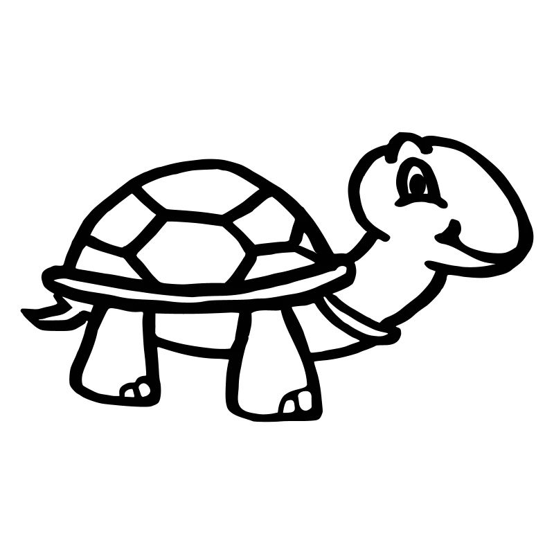 Cute turtle