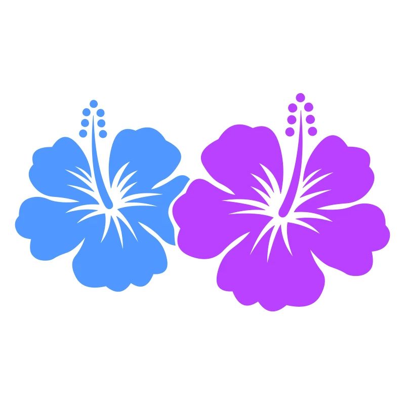 Fleur d’hibiscus