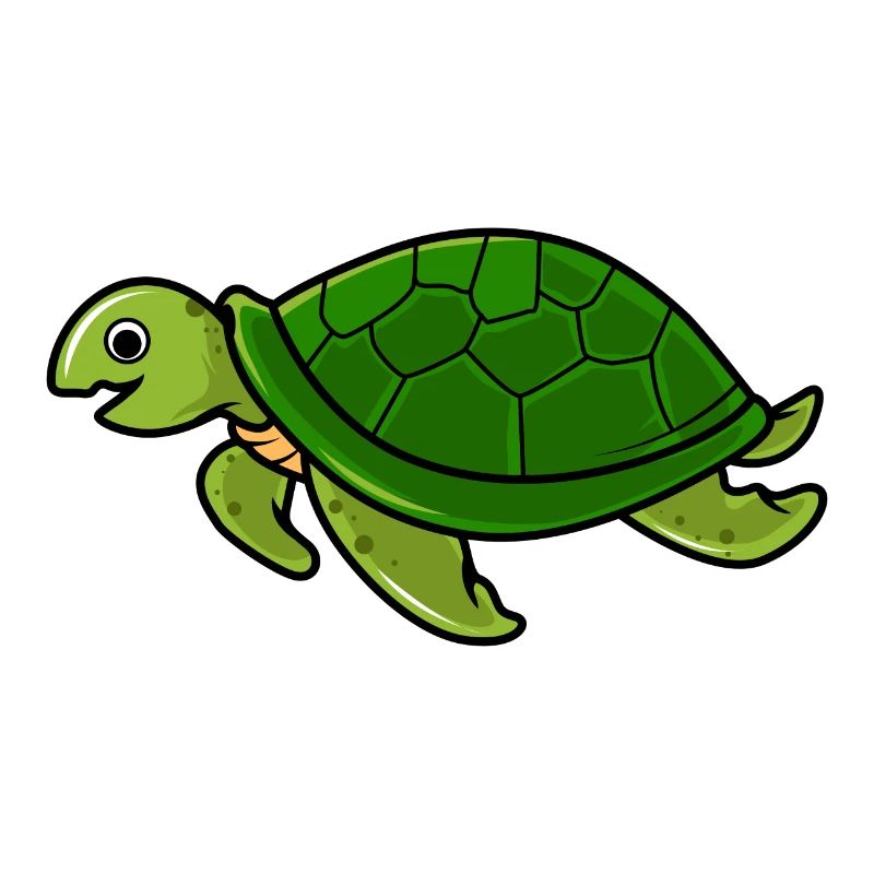 turtle