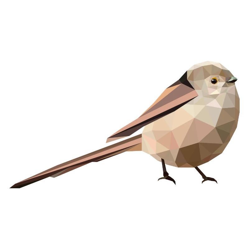 Aegithalos caudatus à longue queue