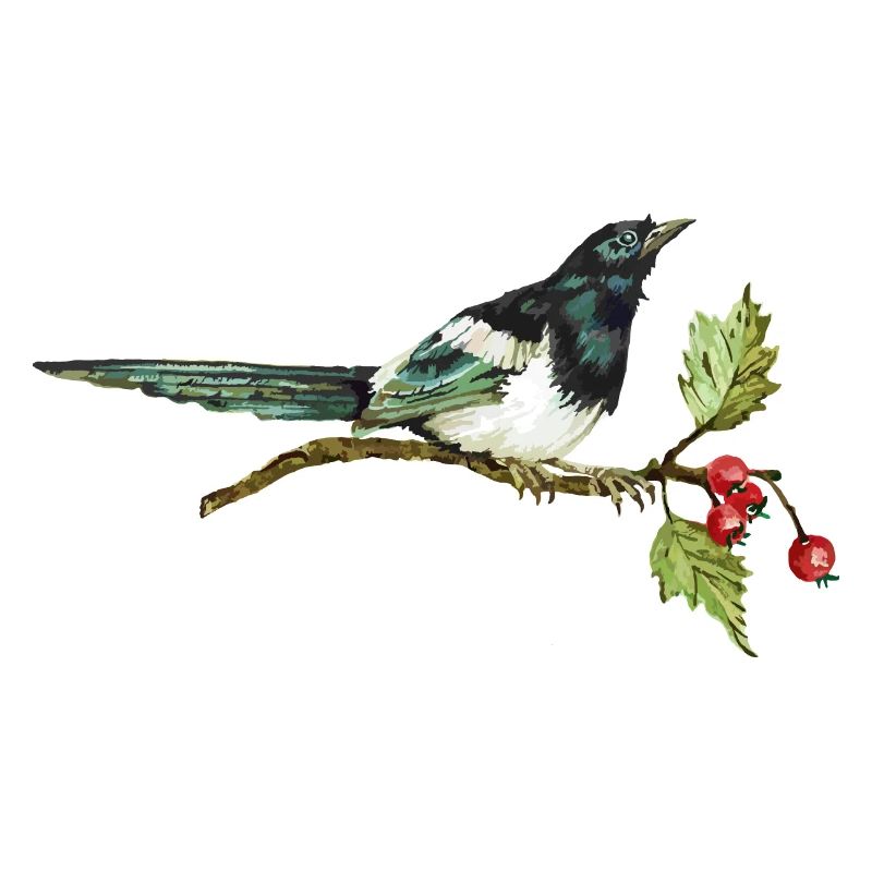 Bunter Vogel