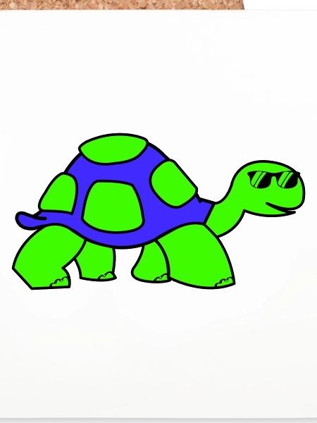 cool turtle