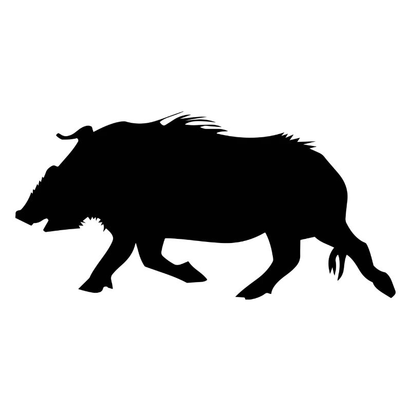 pig10