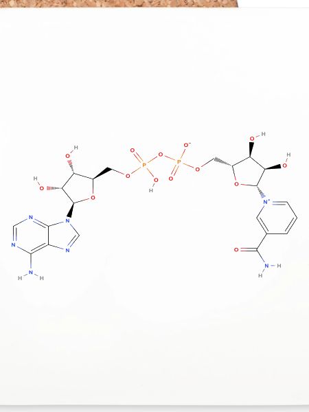 Nicotinamid-Adenin-Dinukleotid-Molekül - Farbe