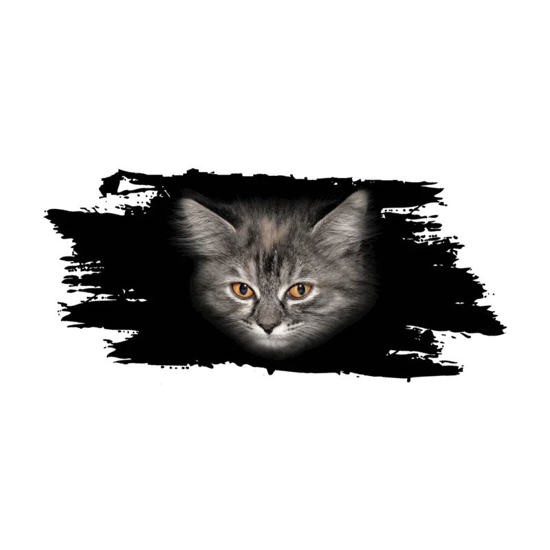 cat Katze