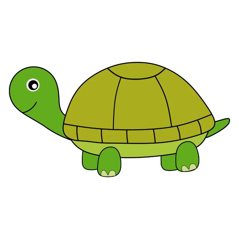 Schildkröte