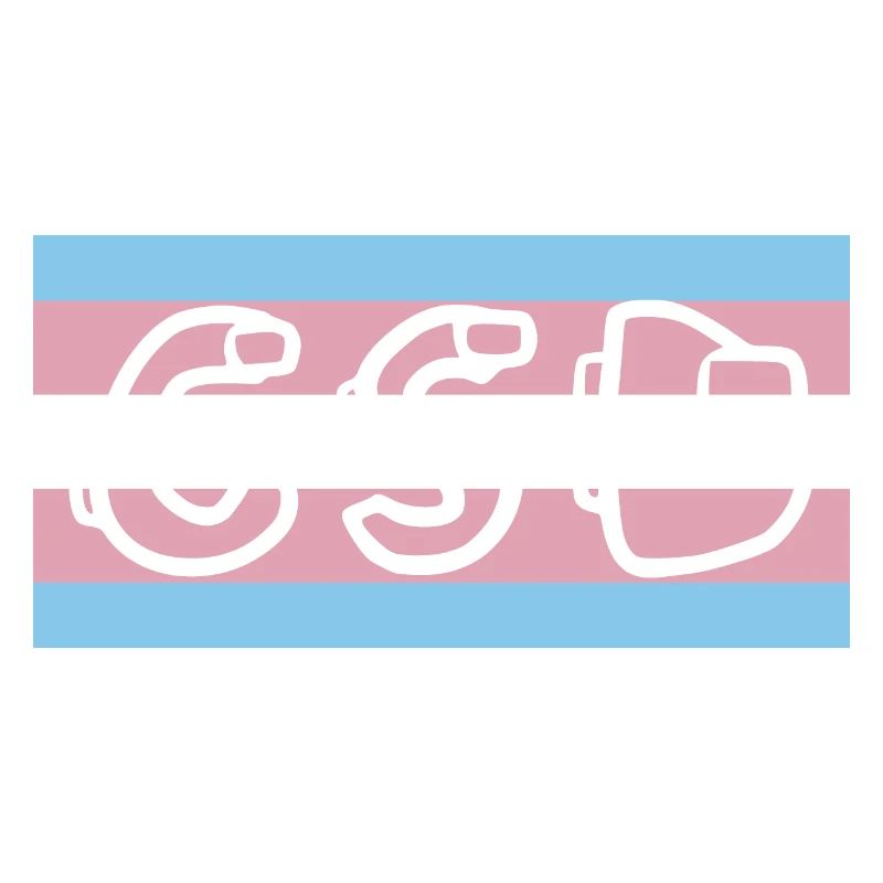 trans pride flag csd