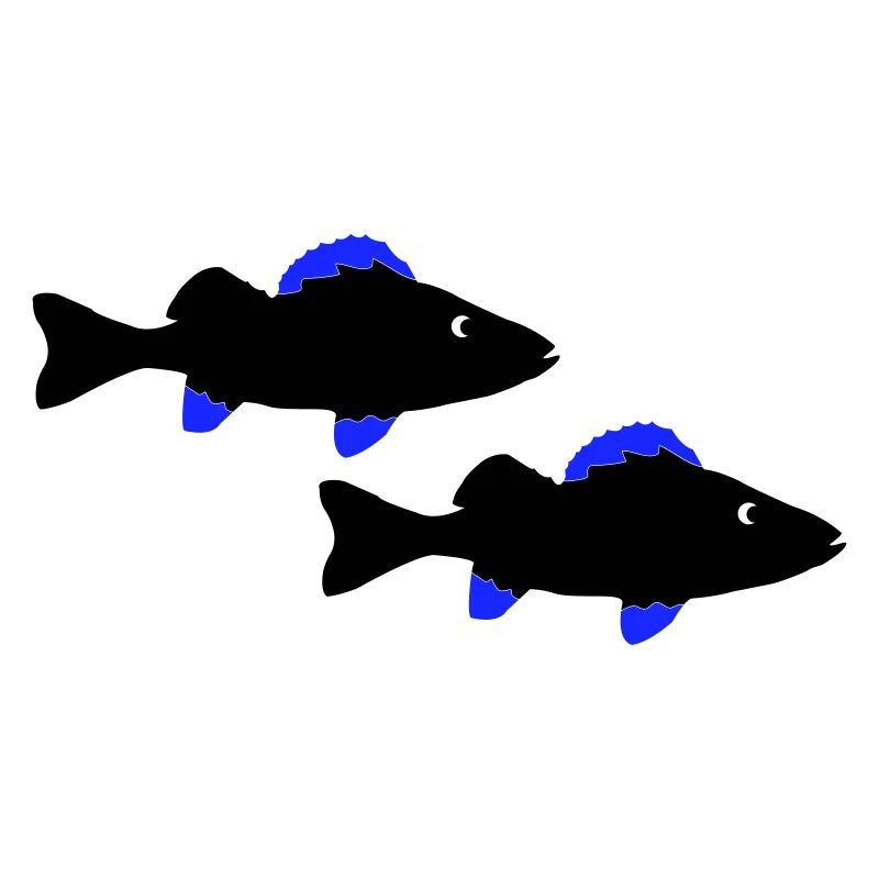 Poisson perche
