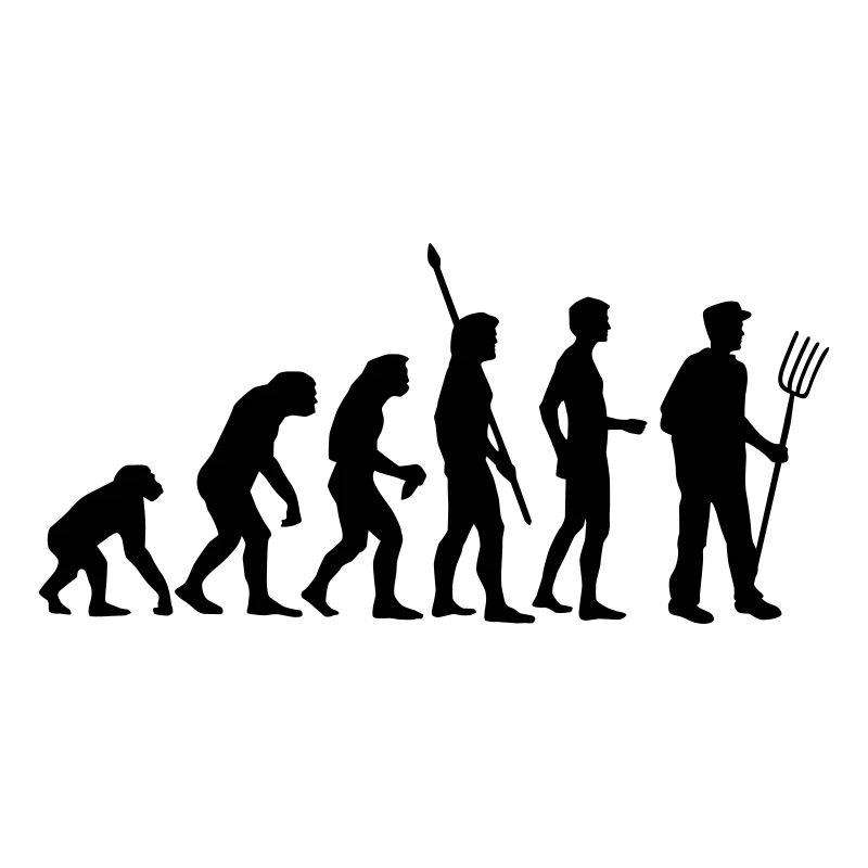 evolution_bauer_b
