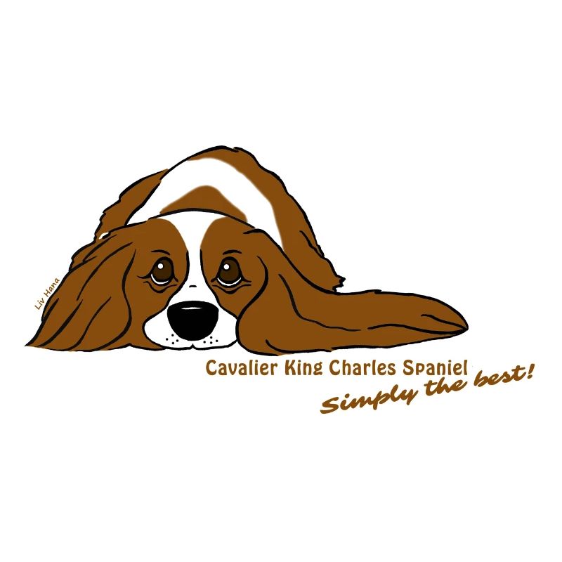 Cavalier liegend