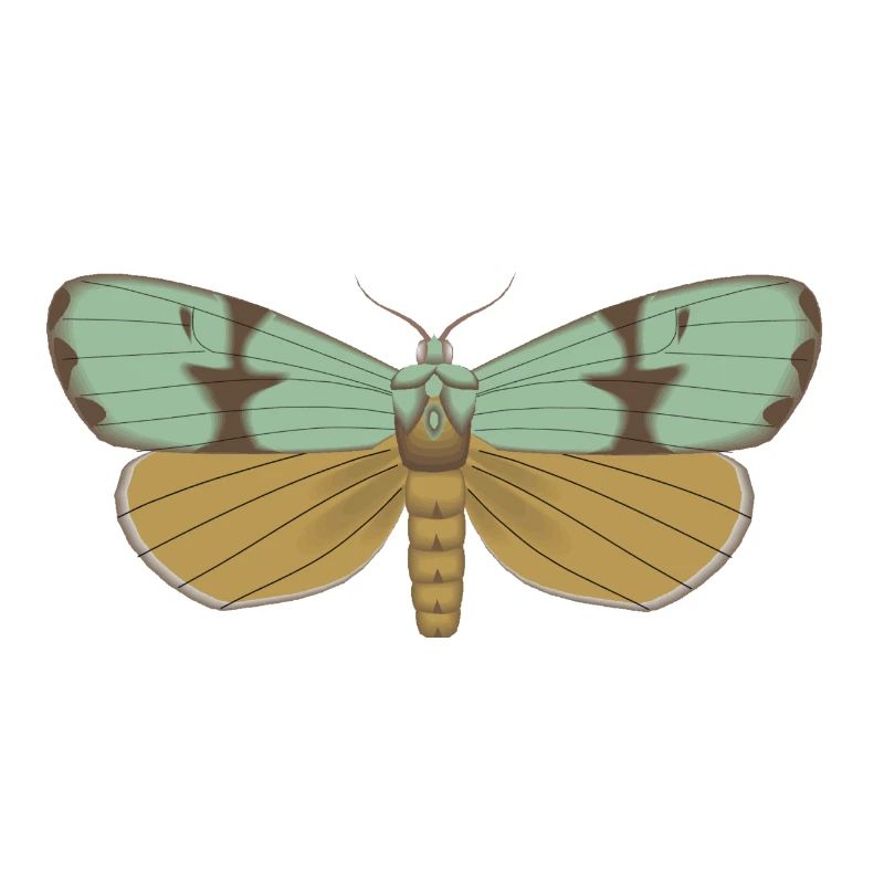 Schmetterling 115
