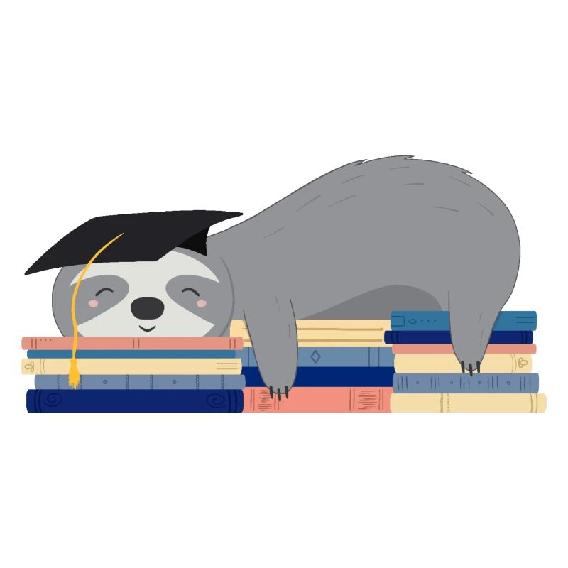 Sleeping sloth with hat after graduation