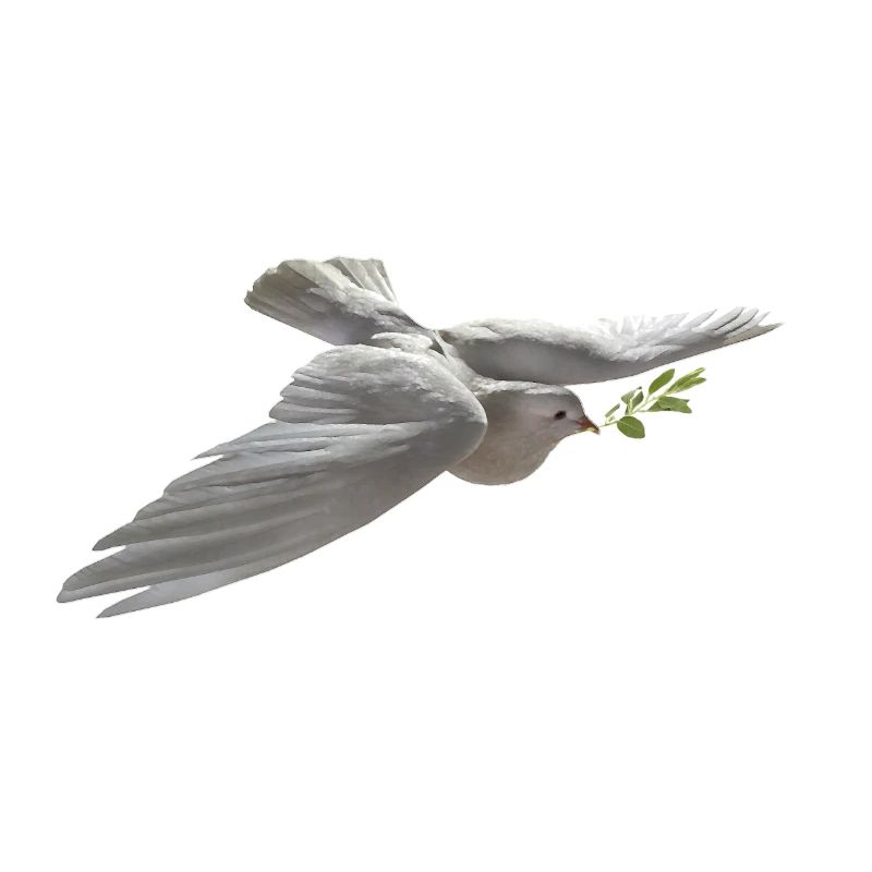 Peace