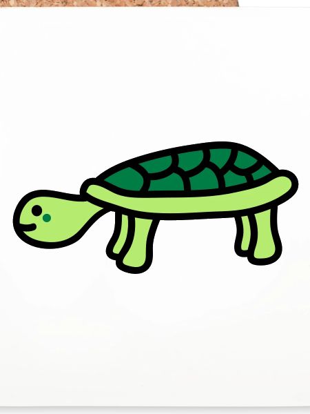 turtle