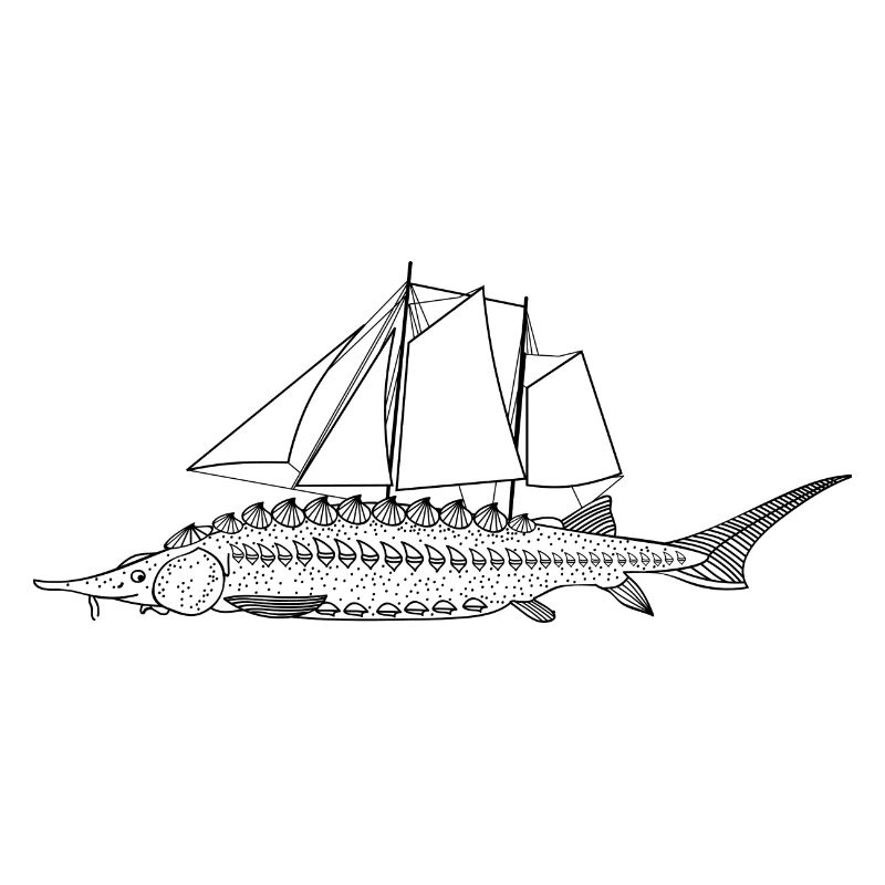Segelfisch (b)
