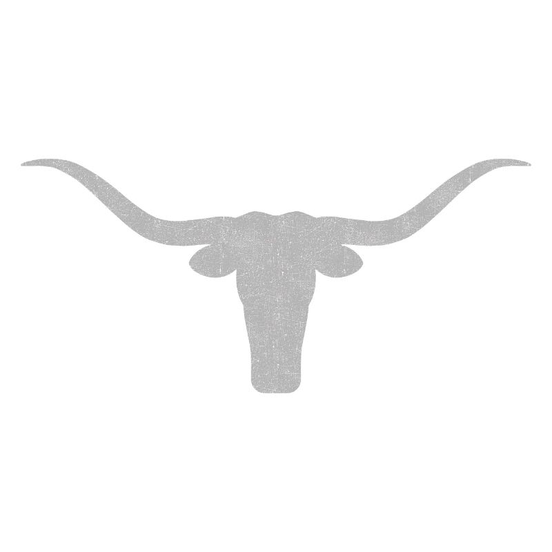 Stier