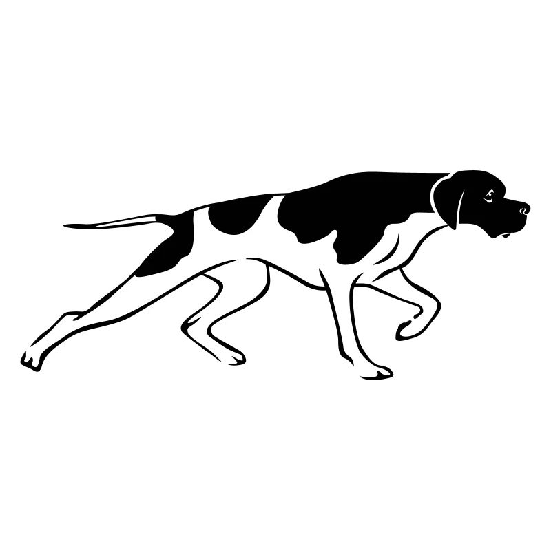 English Pointer - On Point