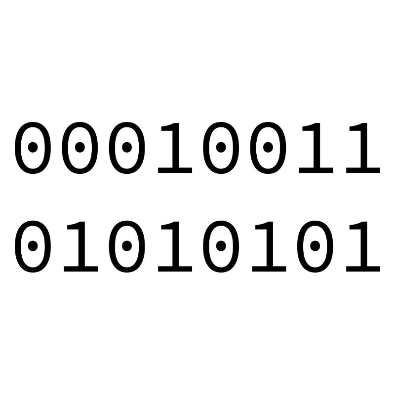 1985 Binary