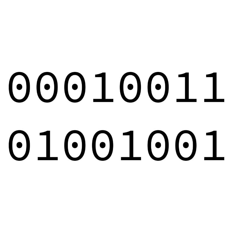 1973 Binary