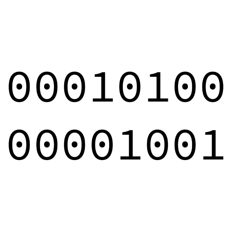 2009 Binary