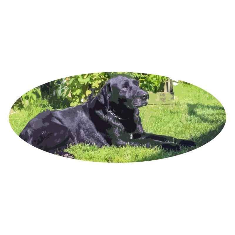 Labrador