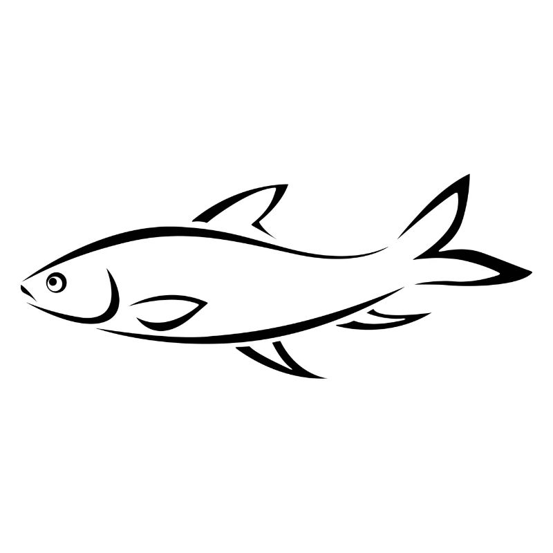 fish319