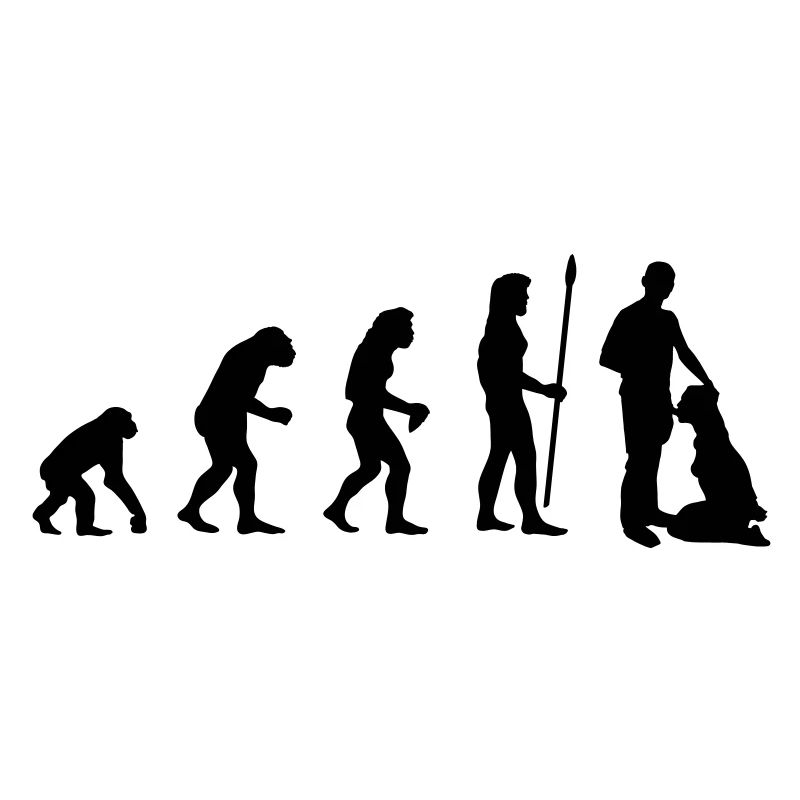 evolution_sex2