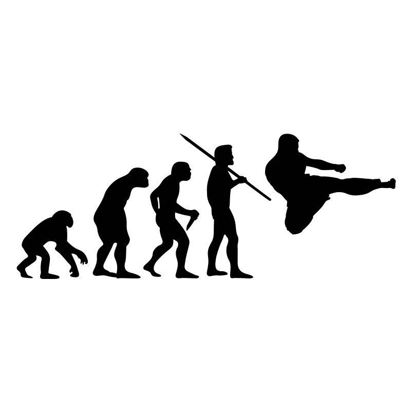 Evolution des Menschen - Kampfsport