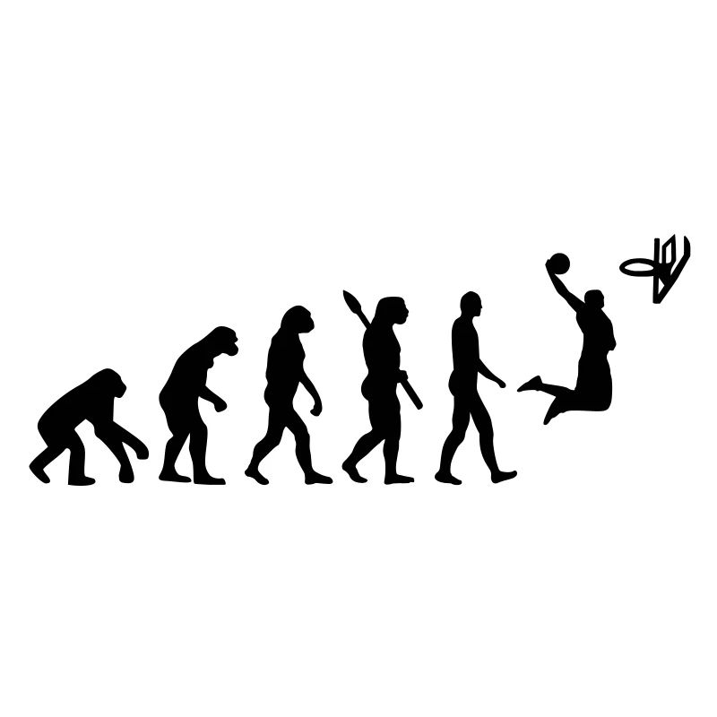 Evolution Basketball