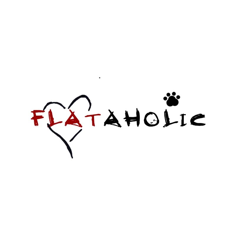flataholic schwarz