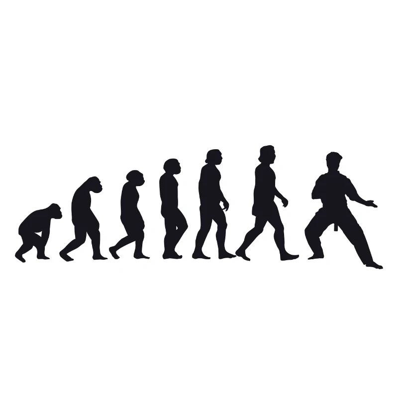 Evolution of Karate