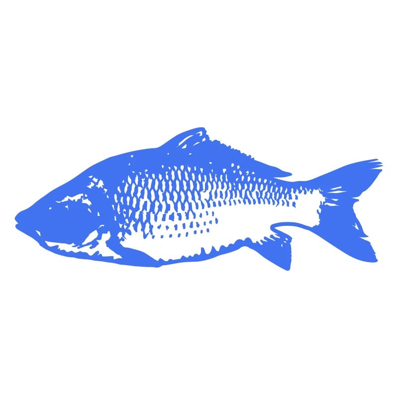 fische