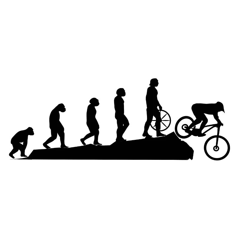 Fahrad Evolution Schwarz