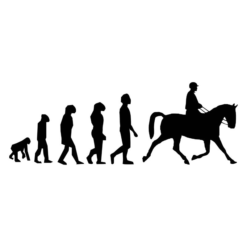 Evolution des Reitens