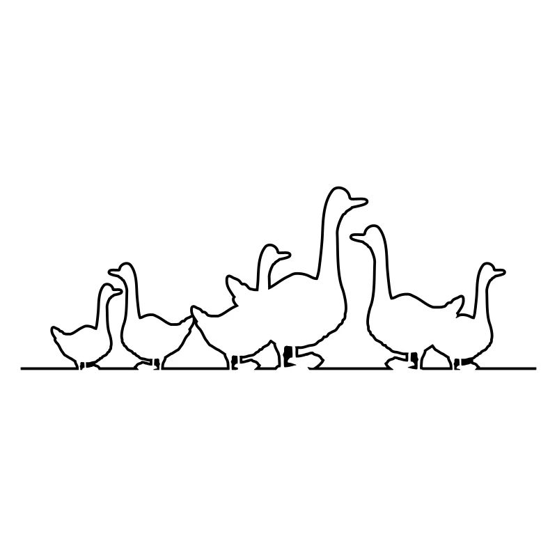 Famille d’oies